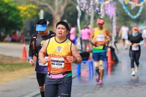 BIB: 47244
                            <button type="button" onclick="openModal(9890369)" class="btn btn-primary btn-sm float-right btn-popup" data-toggle="modal" data-target=".modal-high-quality">
                        <i class="fas fa-shopping-cart"></i> Add to Cart
                    </button>
                                            <button type="button" onclick="isThisMe(9890369, true)" class="btn btn-success btn-sm float-right btn-popup btn-isme hidden" data-toggle="tooltip" data-placement="bottom" title="นี่คือรูปของคุณใช่ไหม คลิกที่นี่เพื่อเอาเข้าอัลบั้ม">
                        <i class="fas fa-plus"></i> Add to album
                    </button>
                    <button type="button" onclick="isThisMe(9890369, false)" class="btn btn-warning btn-sm float-right btn-popup btn-isnotme hidden">
                        <i class="fas fa-ban"></i> Remove from album
                    </button>